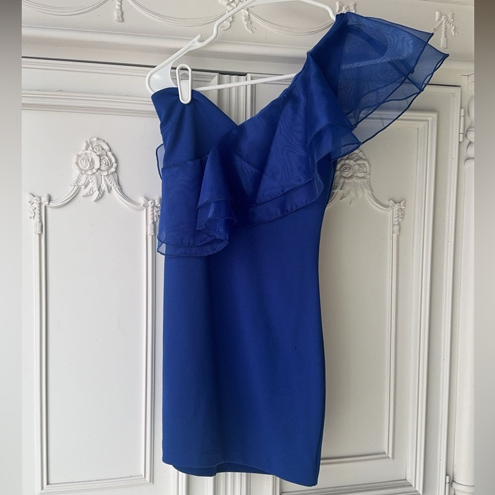 American Threads - Maya One Shoulder Organza Bodycon Mini Dress
Size: Small